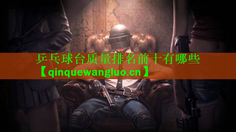 乒乓球台质量排名前十有哪些